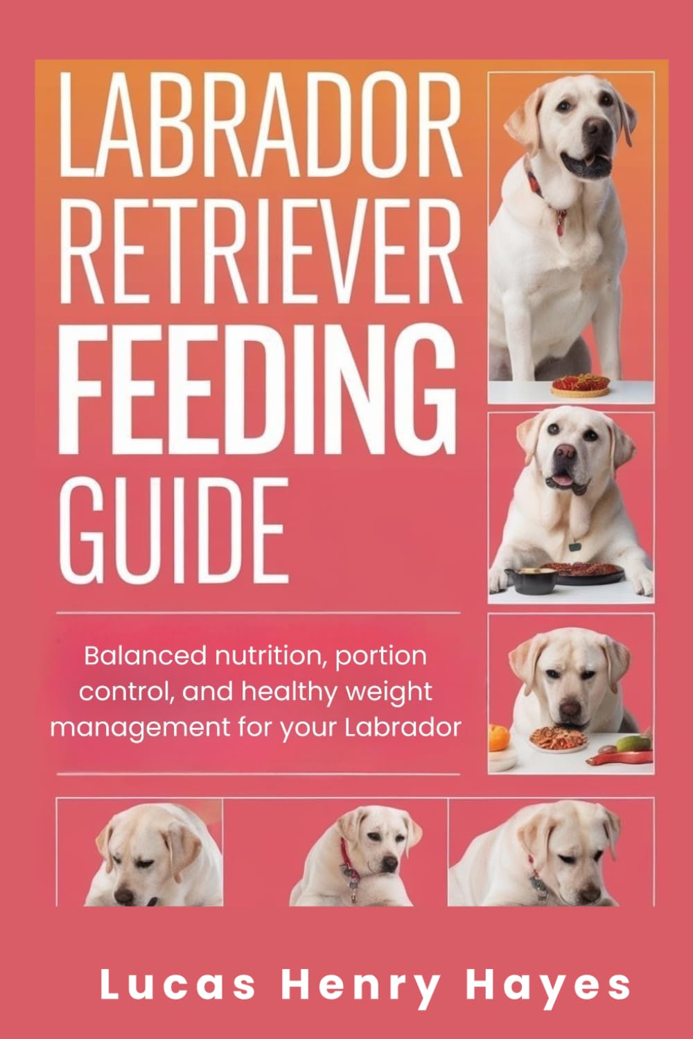Labrador Retriever Feeding Guide: Balanced nutrition, portion control, and healthy weight management for your Labrador