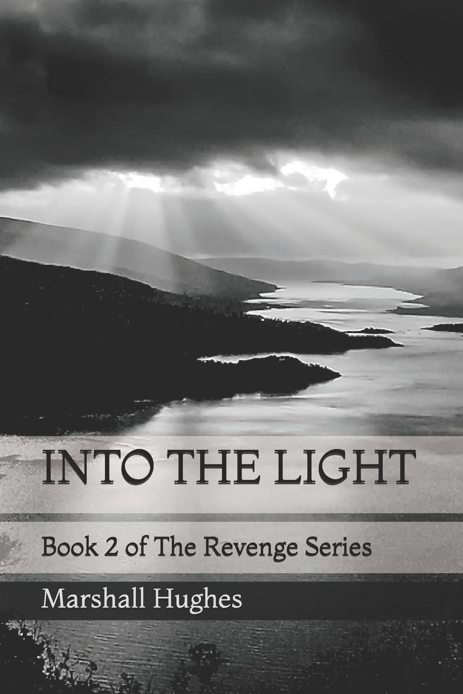 Into The Light: 2 (The Revenge Series)