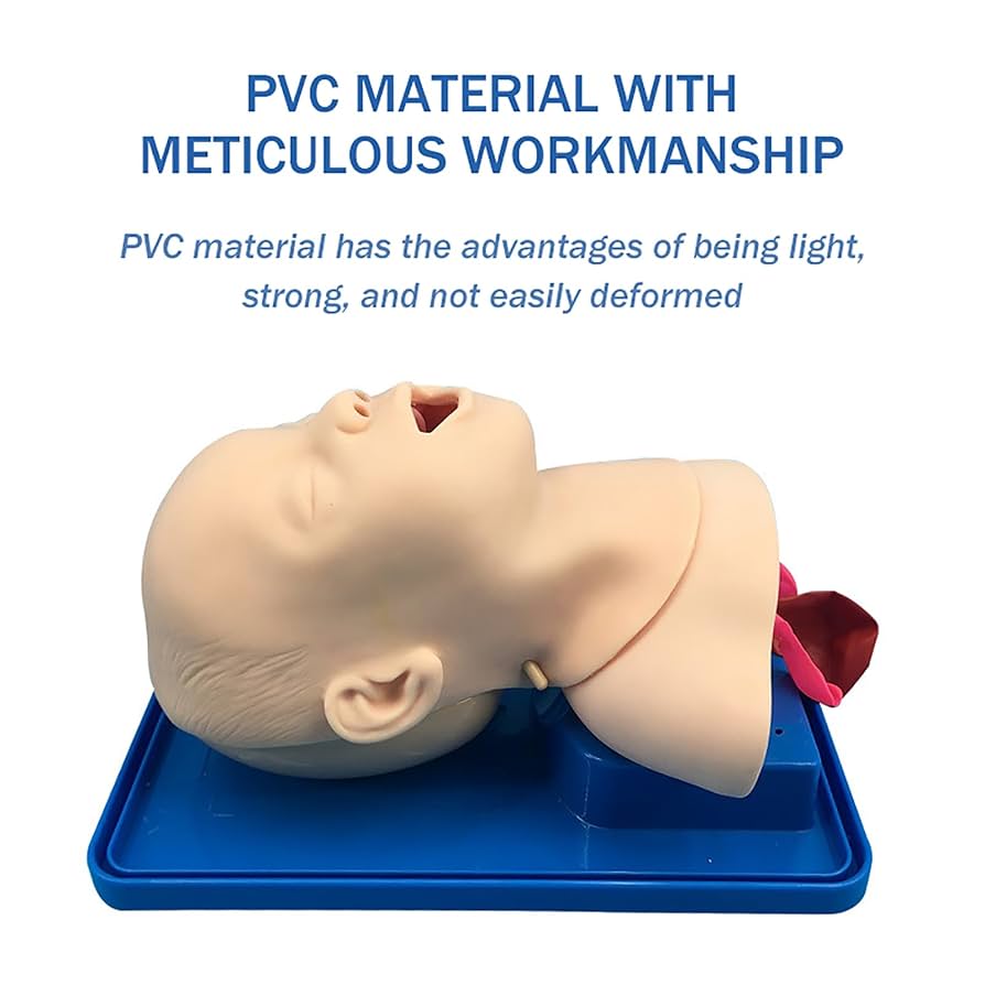 レールダル　乳児気道管理トレーナー 気道管理トレーナ | Laerdal Medical