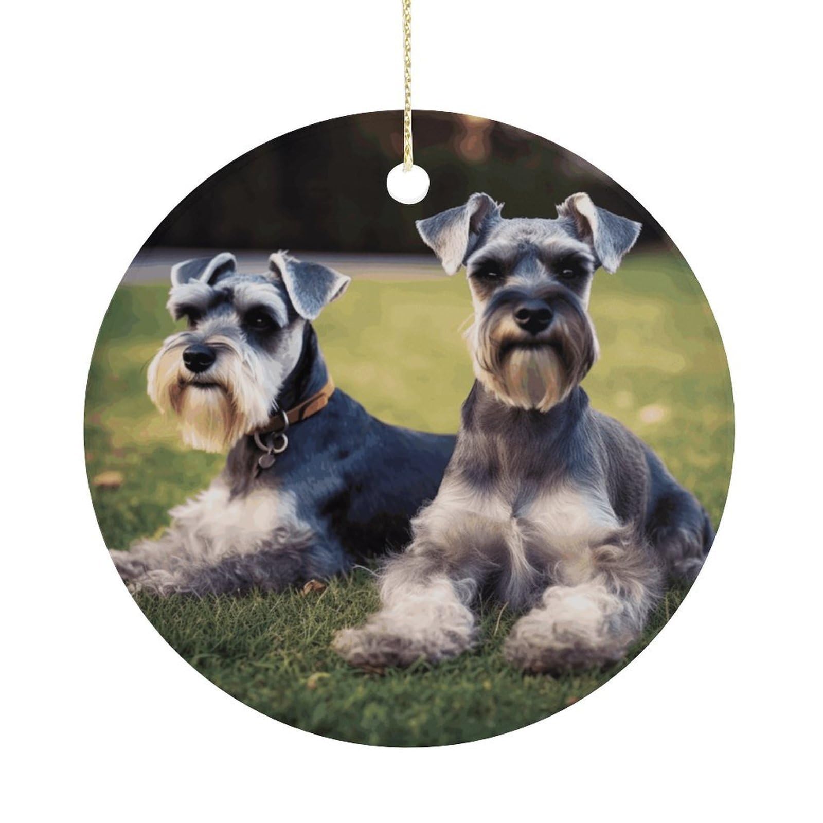 Adult Schnauzer Dogs Christmas Ornaments Colorful Round Ceramic Ornament Christmas Hanging Decor Christmas Tree Decorations Xmas Keepsake for Women Men Xmas Holiday Party