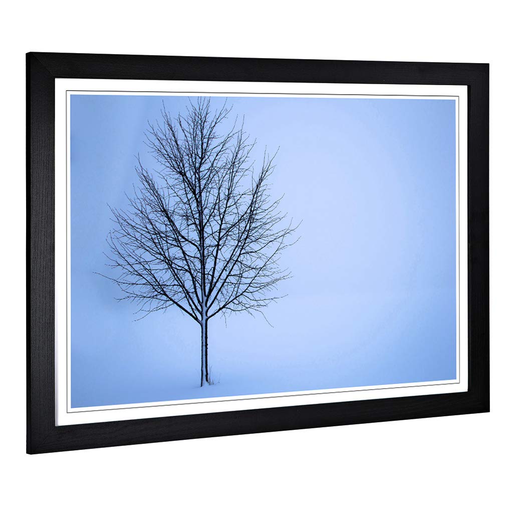 Big Box Art Framed Print of Landscape Lone Tree in The Winter Design | Wall Art Picture | Home Decor for Kitchen, Living Room, Bedroom, Hallway, Black, A2 / 24.5x18 Inch / 62x45cm