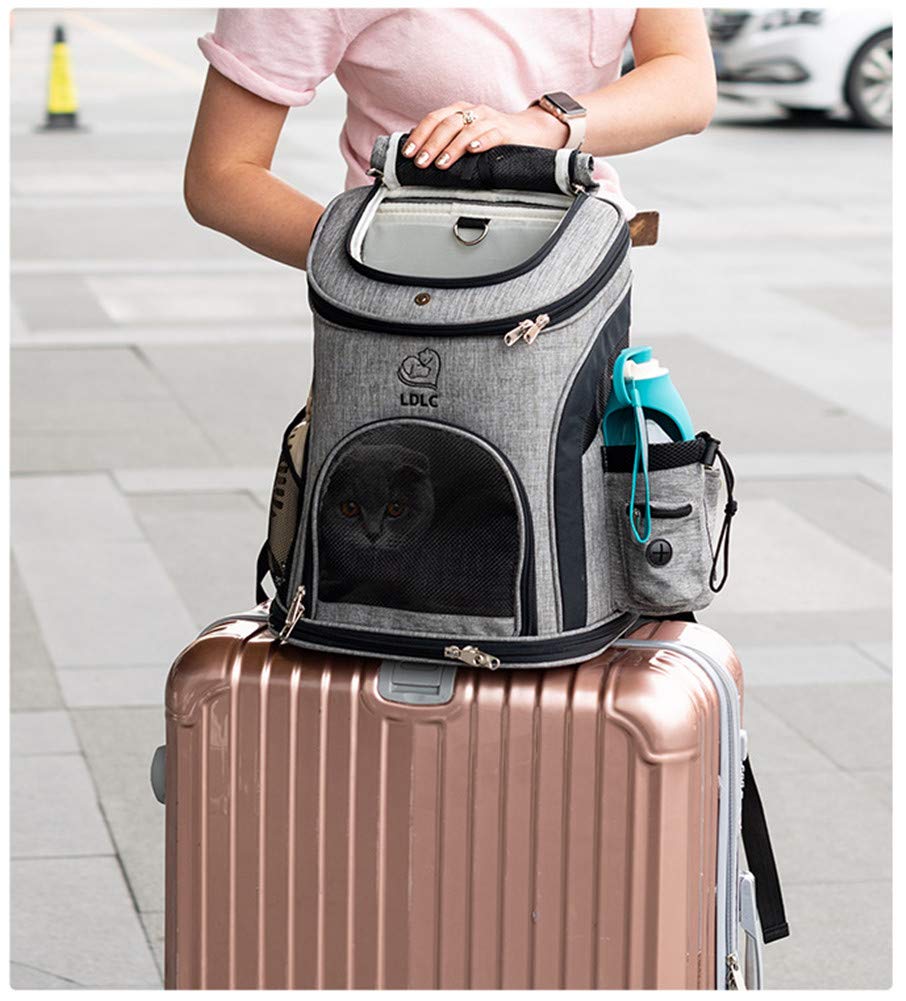 Bolsa de transporte para gatos, mochila bandolera, lavable y plegable, para gatos, pequeños perros, conejos, animales de compañía