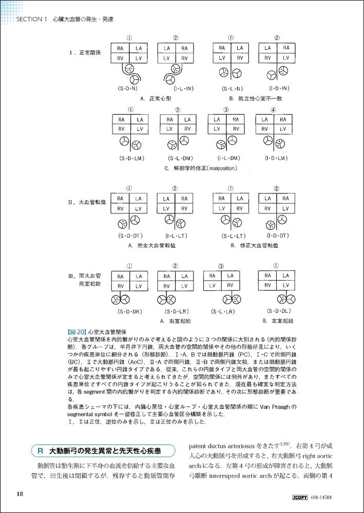 新 発達心臓病学 | 中西 敏雄, 先崎 秀明, 山岸 敬幸 |本 | 通販 | Amazon