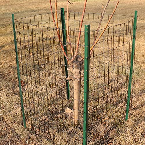 FOREHOGAR Black PVC Coated Welded Wire Fence 48 Inch x 50 Foot, 2 Inch x 3 Inch 16GA, Garden Border Fencing Roll Vinyl Coating Metal Wire Mesh for Yard Vegetable Plant Protection Poultry Netting by FOREHOGAR - Image 5