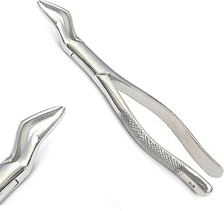 PRECISE CANADA: Dental EXTRACTING Forceps #65 7â€ PC