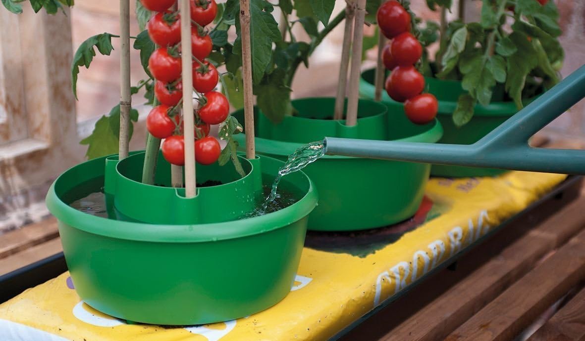 Garland Green Plant Halos 3x Pots Watering Crop Support 29cm Dia and 13cm (H)
