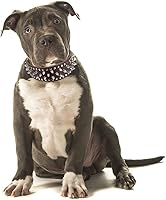 Vista 6 de Hoot - Collar ajustable de piel sintética con tachuelas y clavos para perros, de 5 cm de ancho, 43 tachuelas (L(Cuello 53 cm-61 cm), Marrón Oscuro)