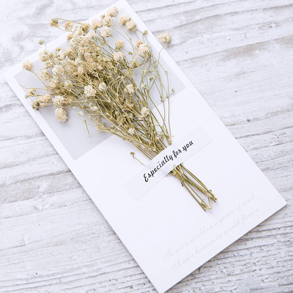 NUOBESTY 24pezzi Biglietti d Auguri Vuoti in Materiale Sicuro Come Biglietti d Invito Per Feste e Compleanni Per Scrivere Messaggi Familiari e Amici