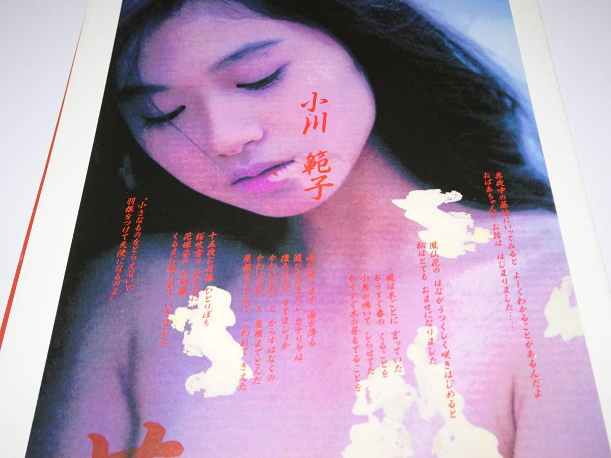 Amazon.co.jp: 小川範子 ひとり芝居/花 四つ折りパンフレット : 文房具