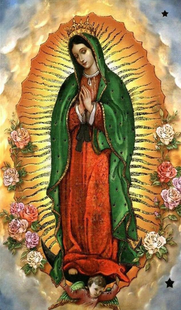 Our Lady of Guadalupe Rose Gold Plated 20" L with Rhinestone Centerpiece Blessed by Pope Francis Two Styles
