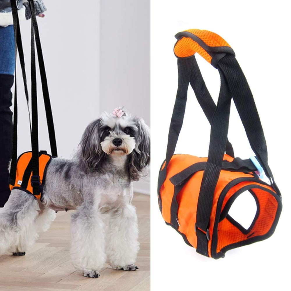 PJDDP Pet Dog Support Harness Rear Lifting Harness Dog Sling, Veterinarian Approved To Helps Dogs with Arthritis, Weakness, Joint Injuries Rehab, Loss of Stability Dogs Walk,Orange,L
