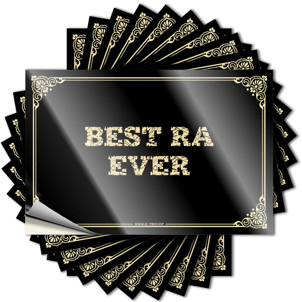 Sticker Vintage Layered Coastal Bumper Best Ra Ever - Scratch Resistant Stickers(12X18CM)