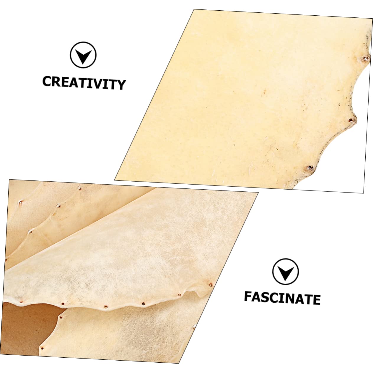 Levemolo Drum Accessory Part Genuine Lether Drum Heads Enhance Bass Overtone Random Style