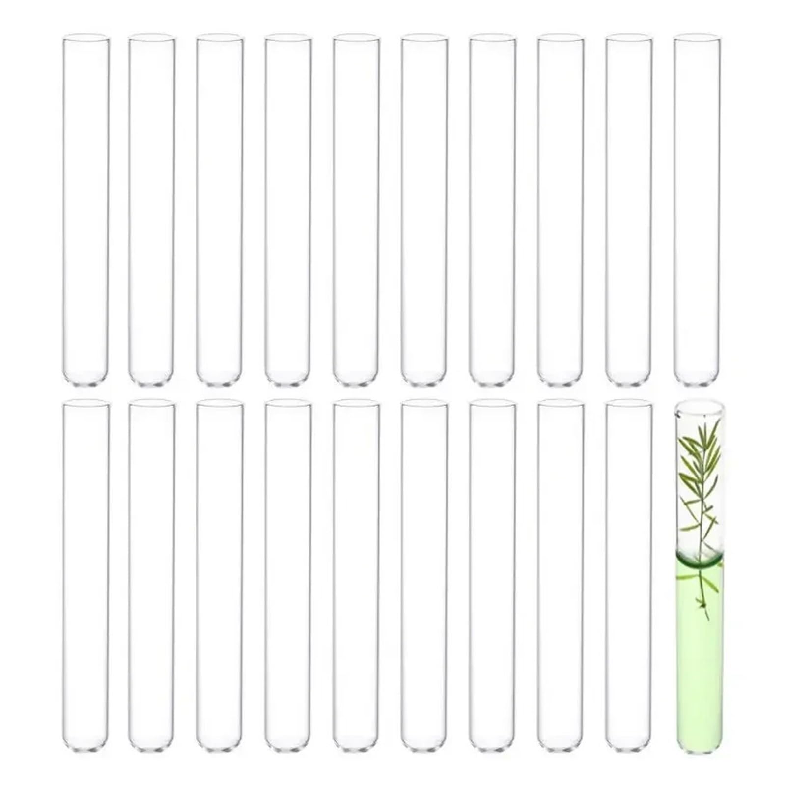 MENGKE 10P Glass Test Tube Borosilicate Clear Glass Test Tube Vase For Scientific Experiment Parties, Office Desktop Flower Decoration(30mmx200mm)