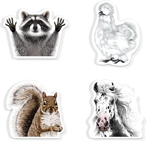 WIRESTER Juego de 4 divertidos imanes decorativos para el hogar, oficina, aula, imanes acrílicos para pegar en computadora, nevera, lavadora,