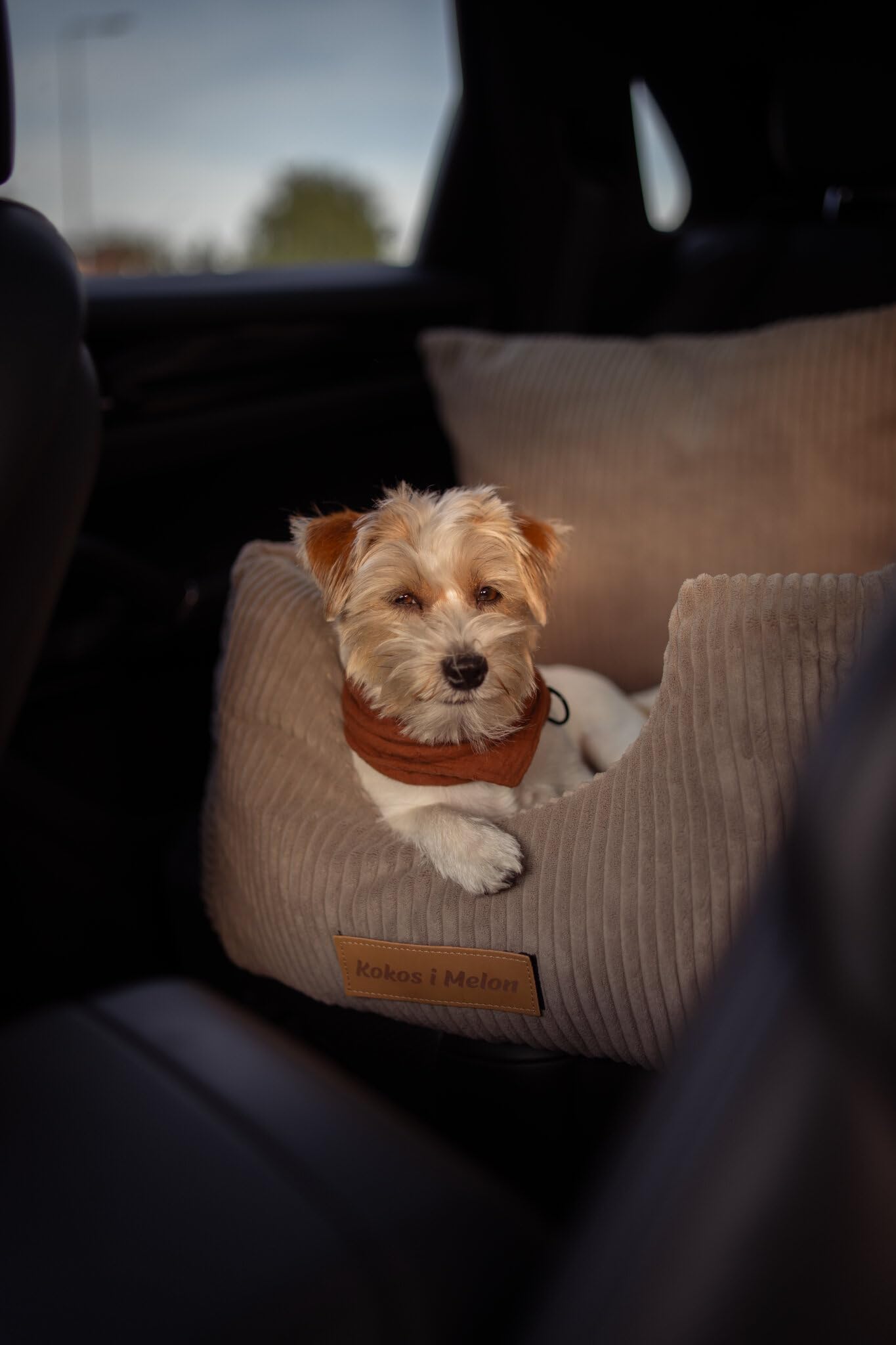 Hundeautositz – personalisierbares Hundebett fürs Auto mit Sicherheitsleine, abnehmbarem, waschbarem Bezug aus Cordstoff (Oeko-TEX), EU-handgefertigt – für kleine Hunde und Welpen (grün)