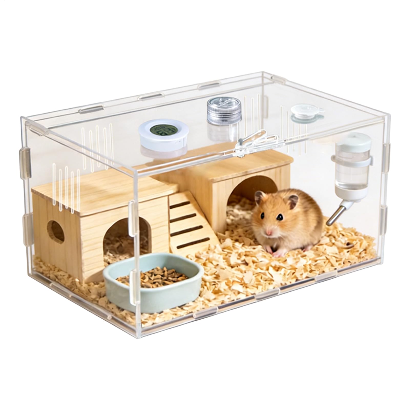 Terrarium pour lézard pour intérieur et extérieur de la maison