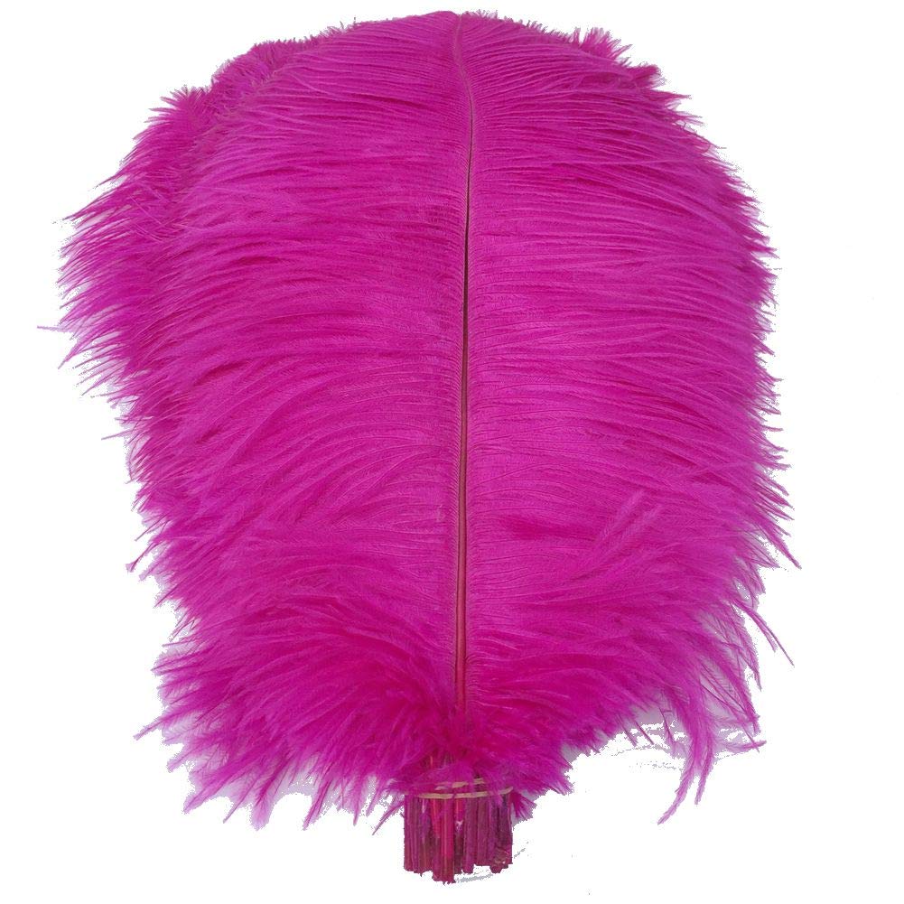 Shekyeon 16-18inch 40-45cm Ostrich Feather DIY Craft Feather Pack of 10(Fuchsia) — image 1