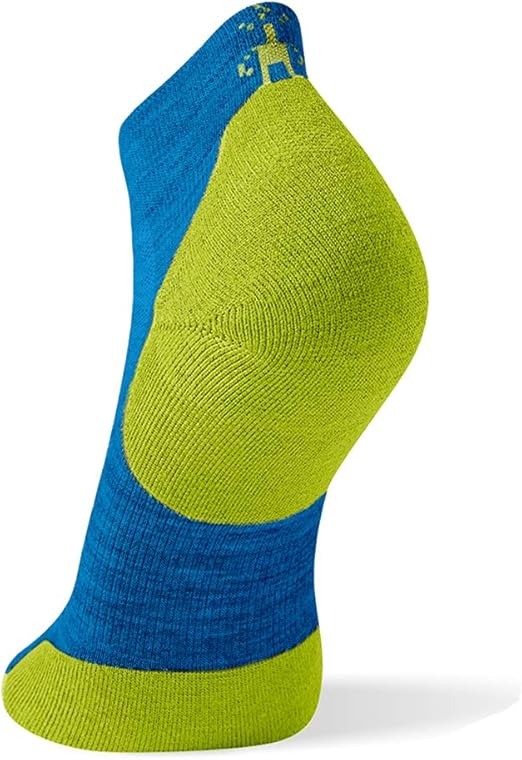 smartwool phd run light elite low cut
