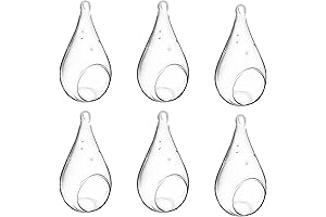 CYS EXCEL Hanging Glass Teardrop Terrariums