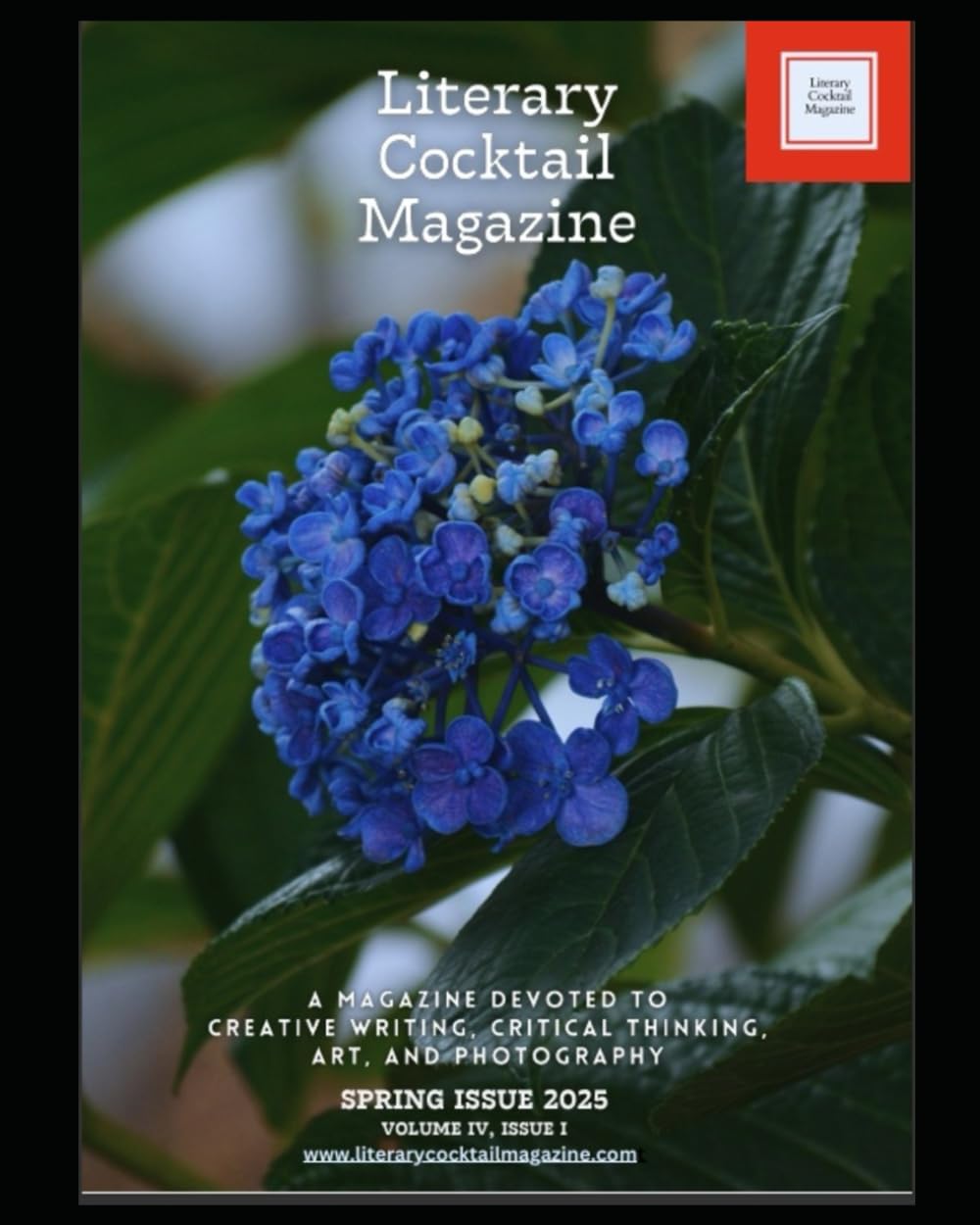 Literary Cocktail Magazine: Volume 4: Issue 1 (Spring Issue)