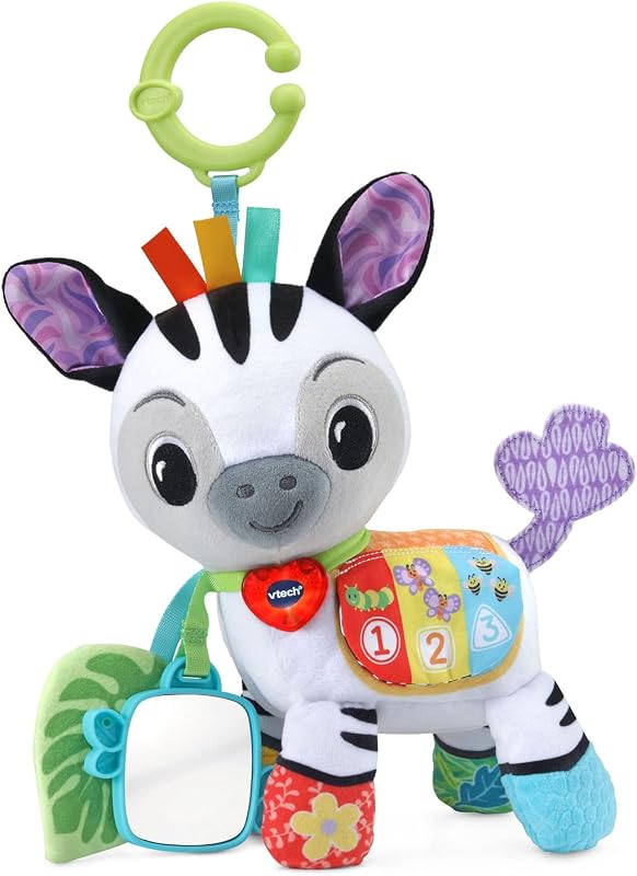 Take Me with You Zebra