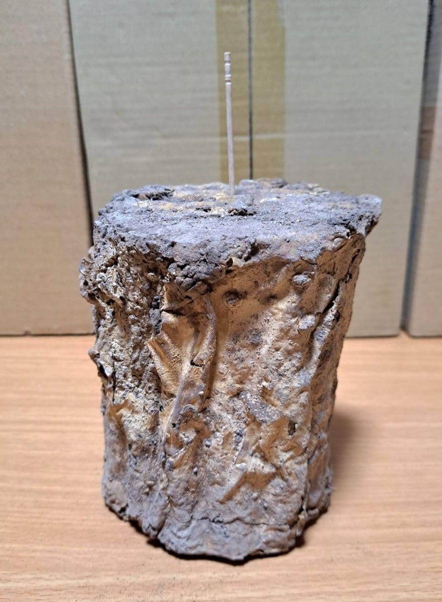 １０本！ Ｌ×５本 Ｍ×５本 クヌギ 土埋め レイシ 霊芝 産卵材 柔らか仕上げ 現物 Lサイズ クヌギ 椚 土埋め レイシ 霊芝 産卵材 柔らか仕上げ