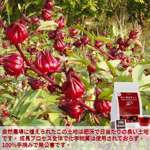 ULTHMOK ローゼルティー 100袋