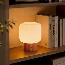 Mushroom Lamp, 5W Cute Cordless Rechargeable Table Lamp with Glass Shade