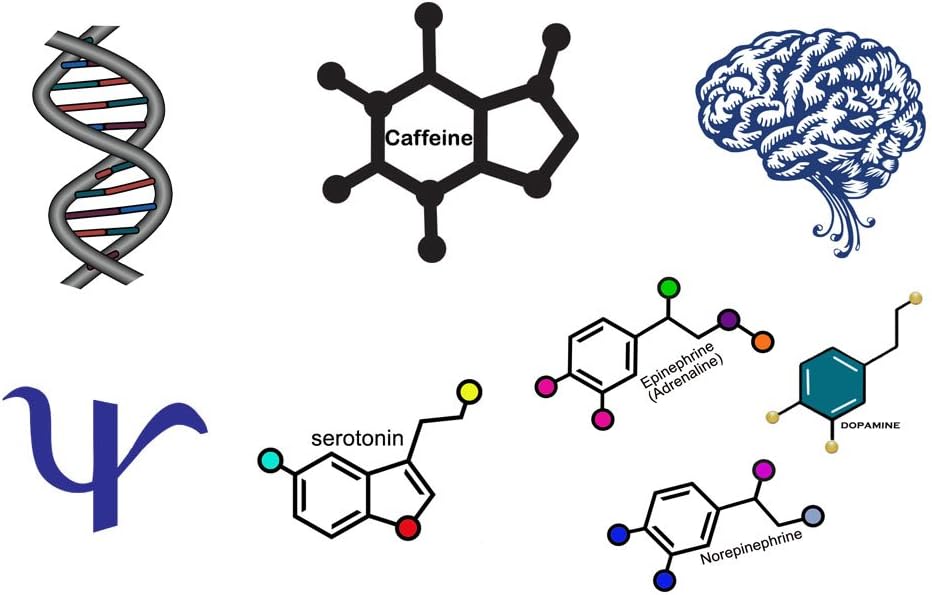 Psychology Temporary Tattoo Variety Pack