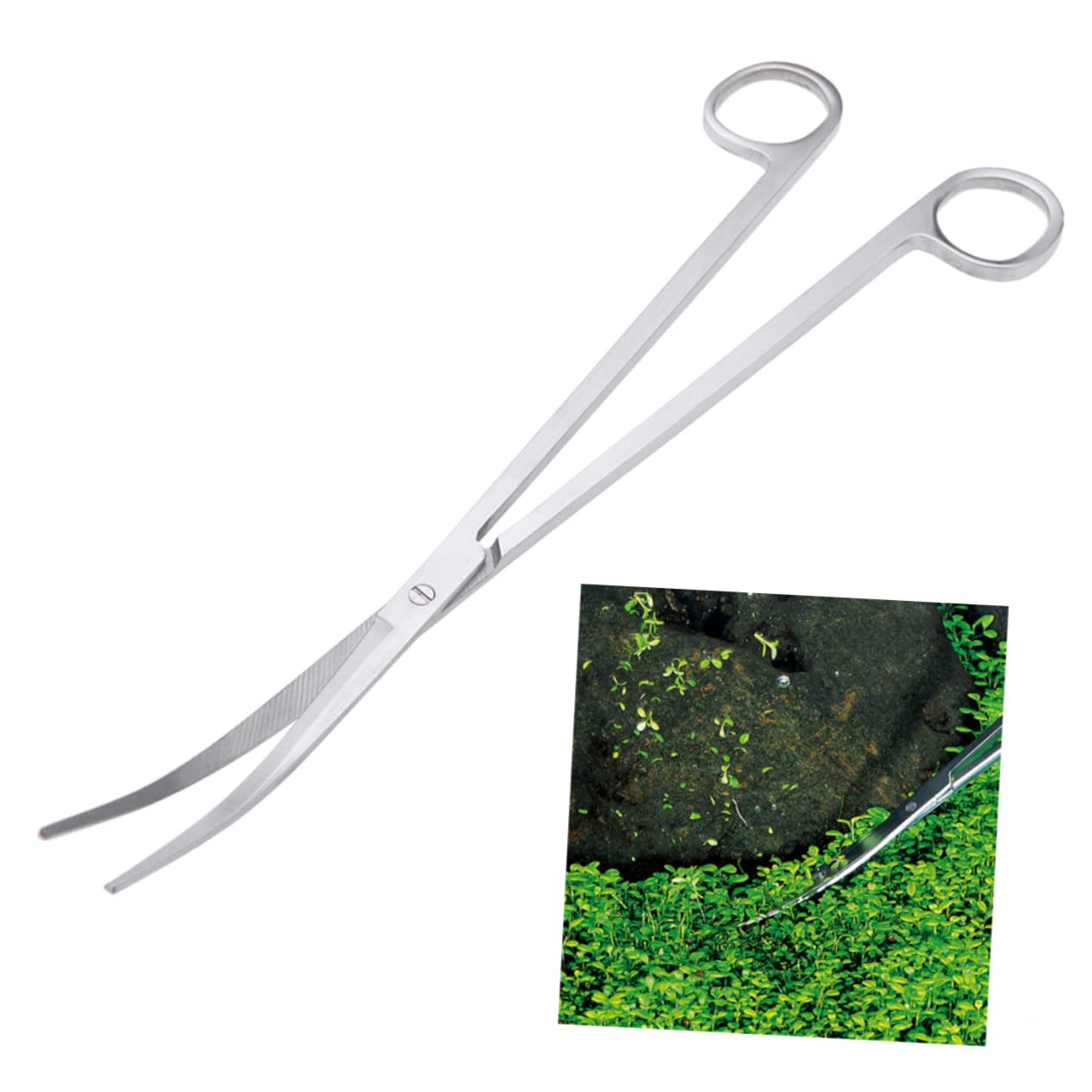 Yardwe 3 Piezas 25 Tijeras Punta Curva Tijeras para Acuario Tijeras para Cortar Plantas Tijeras para Plantas acuáticas Pinzas para Plantas acuaticas Tijeras para Plantas peceras