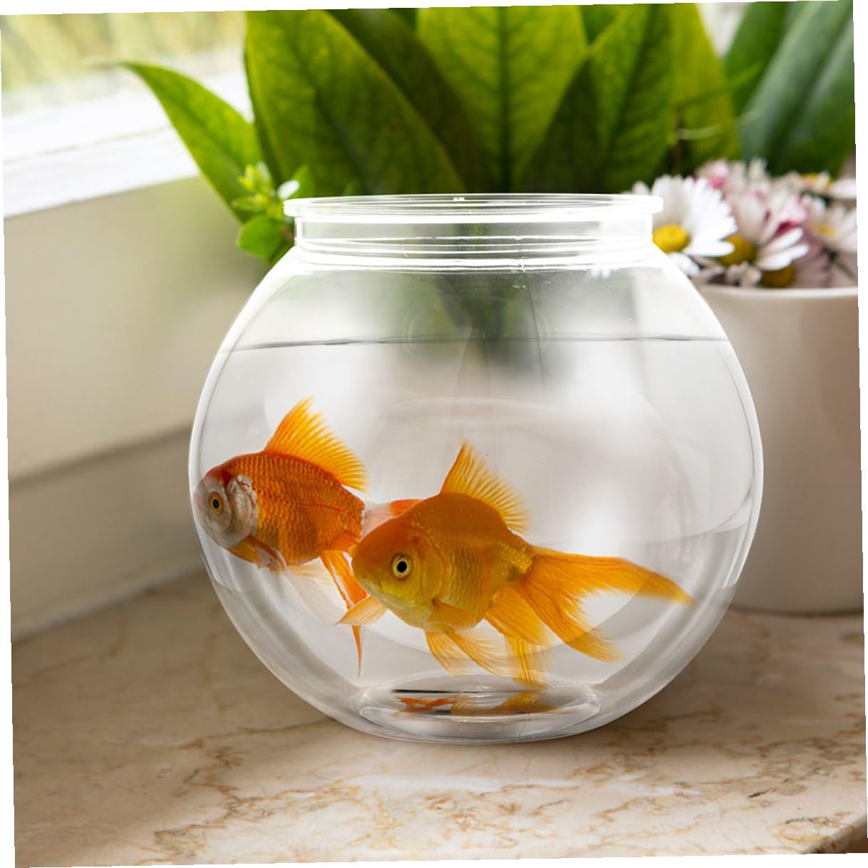 Transparentes Rundes Fischglas Umsturzsicher aus Kunststoff Event