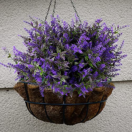 Mejores review On-line Lavanda planta precio tabla con los diez mejores. 27 Imagen adicional