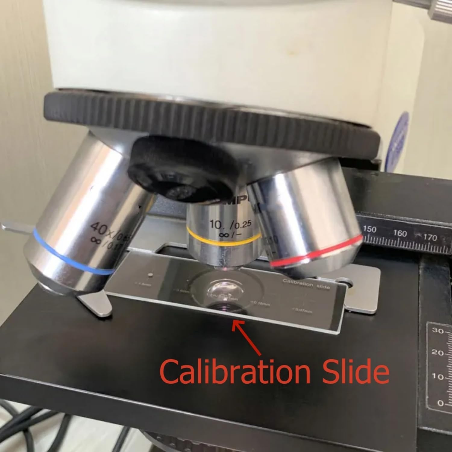 5-Scales Crosshair Optical Glass Microscope Slides Multifunction Plate Reticle Accurate Calibration Slide Stage Micrometer