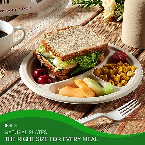 Amozife 100% Compostable 9 Inch 3-Compartment Paper Plates, Natural Eco-Friendly Disposable Heavy-Duty Brown Plates For Daily Meals, Parties & Picnics [Pack Of 125] #TOP6