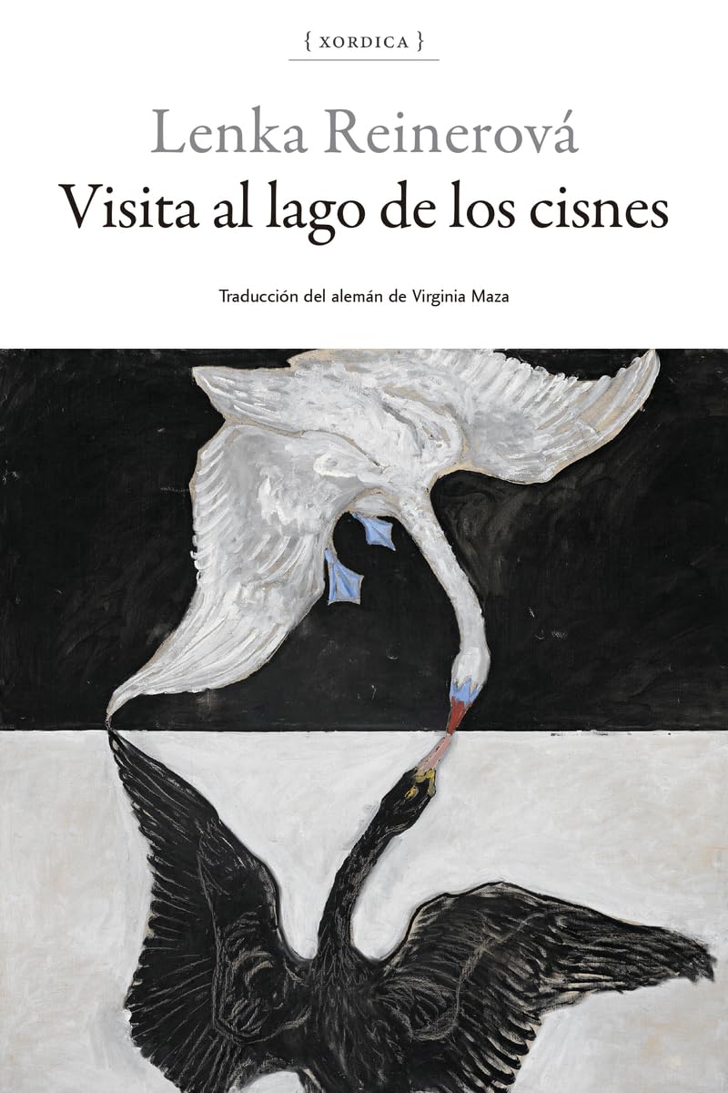 Visita al lago de los cisnes: 20