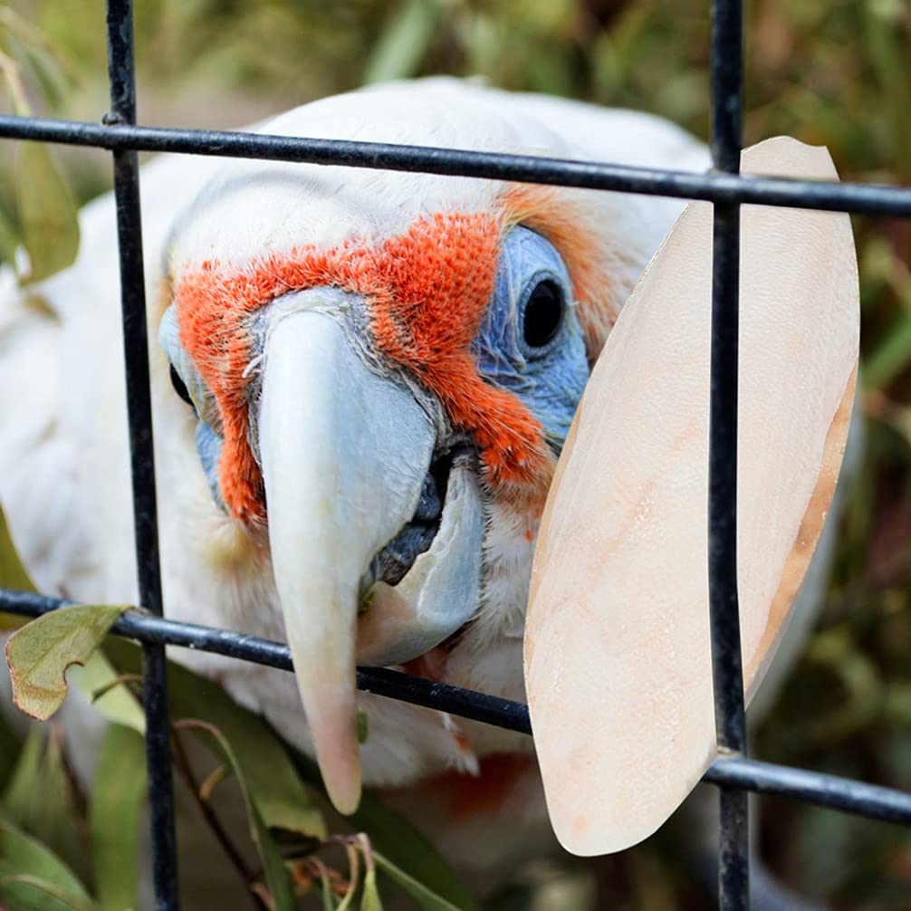 Vogel Nagel- Und Schnabeltrimmer Elektrisch - Leiser Schleifer Mit Licht Für Papageien & Vögel