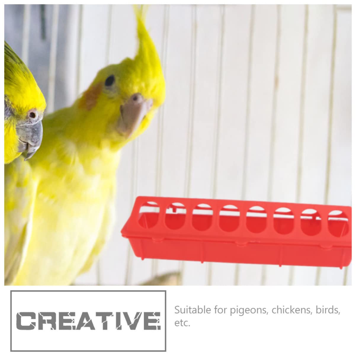 Confezione da 4 mangiatoie per polli, in plastica, multifunzionali, per pulcini e colombe, ideale per fattorie in cortile e amanti degli uccelli