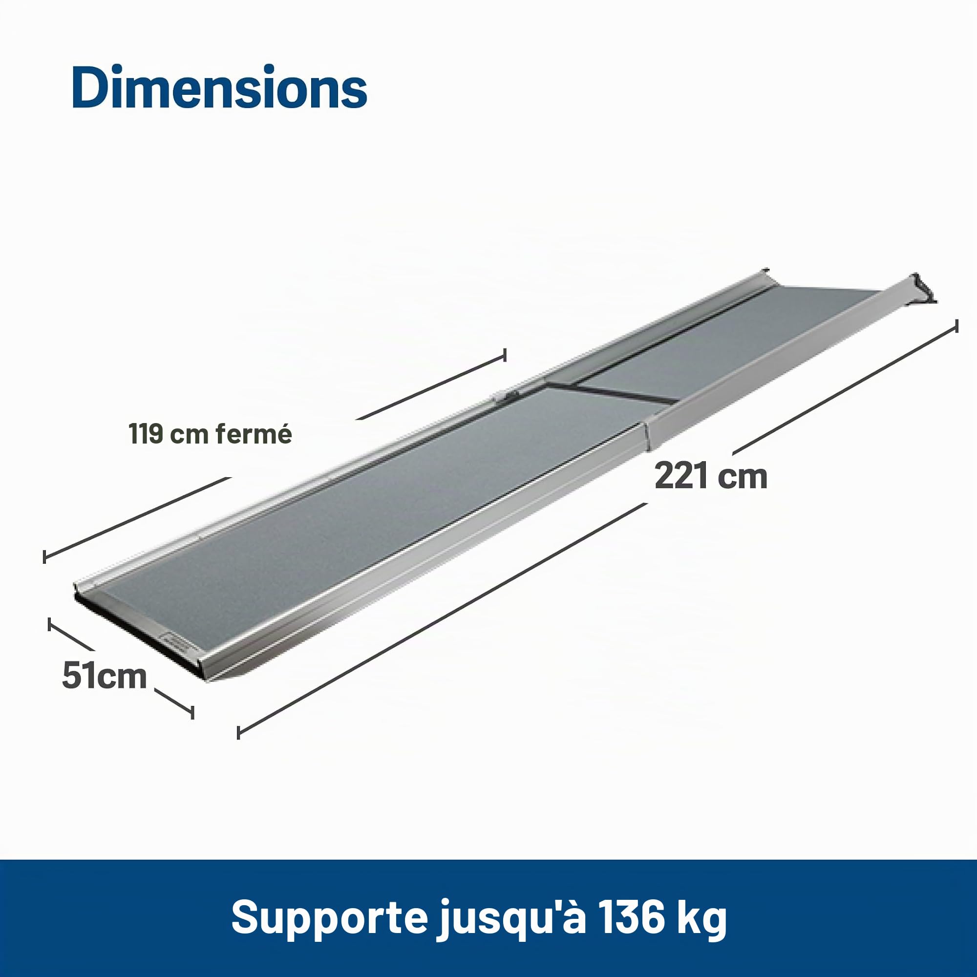 PetSafe rampe télescopique XL pour chiens aluminium 136 kg