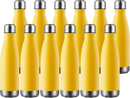MEWAY Botella de agua deportiva de 17 onzas, paquete de 12 botellas de agua de acero inoxidable con aislamiento al vacío, a prueba de fugas, doble