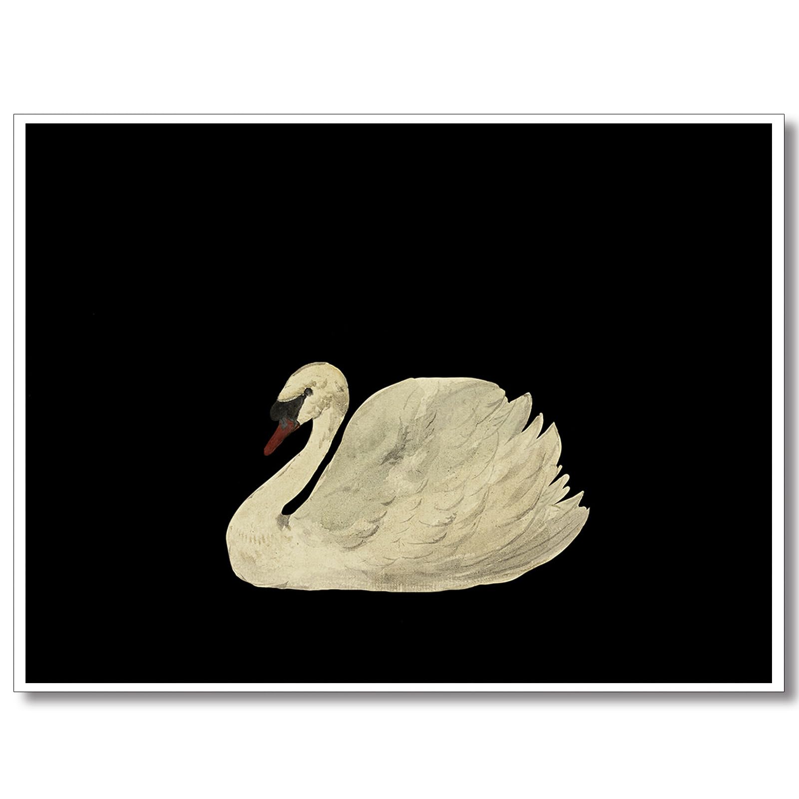 Yaasilinage Antique Swan Canvas Wall Art, Modern Mute Watercolor Animal Pictures, Elegant Swan Art Print Aesthetic Poster, Vintage Dark Academia Painting Decor for Gallery Girls Room 12x16in Unframed