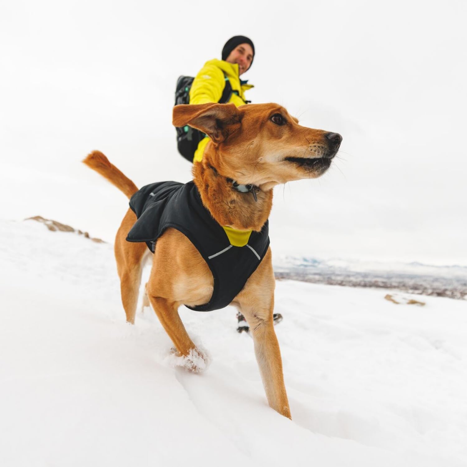 RUFFWEAR Quinzee X-Small Hunde-Regenjacke, isolierter Allwetter-Hundemantel, Wasserabweisende Hundejacke, leichte Hundeweste und Tragetasche, Größe XS, Fireweed Pink