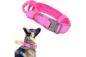 Rugged Pink Tactical Dog Collar for Large Girl Dogs