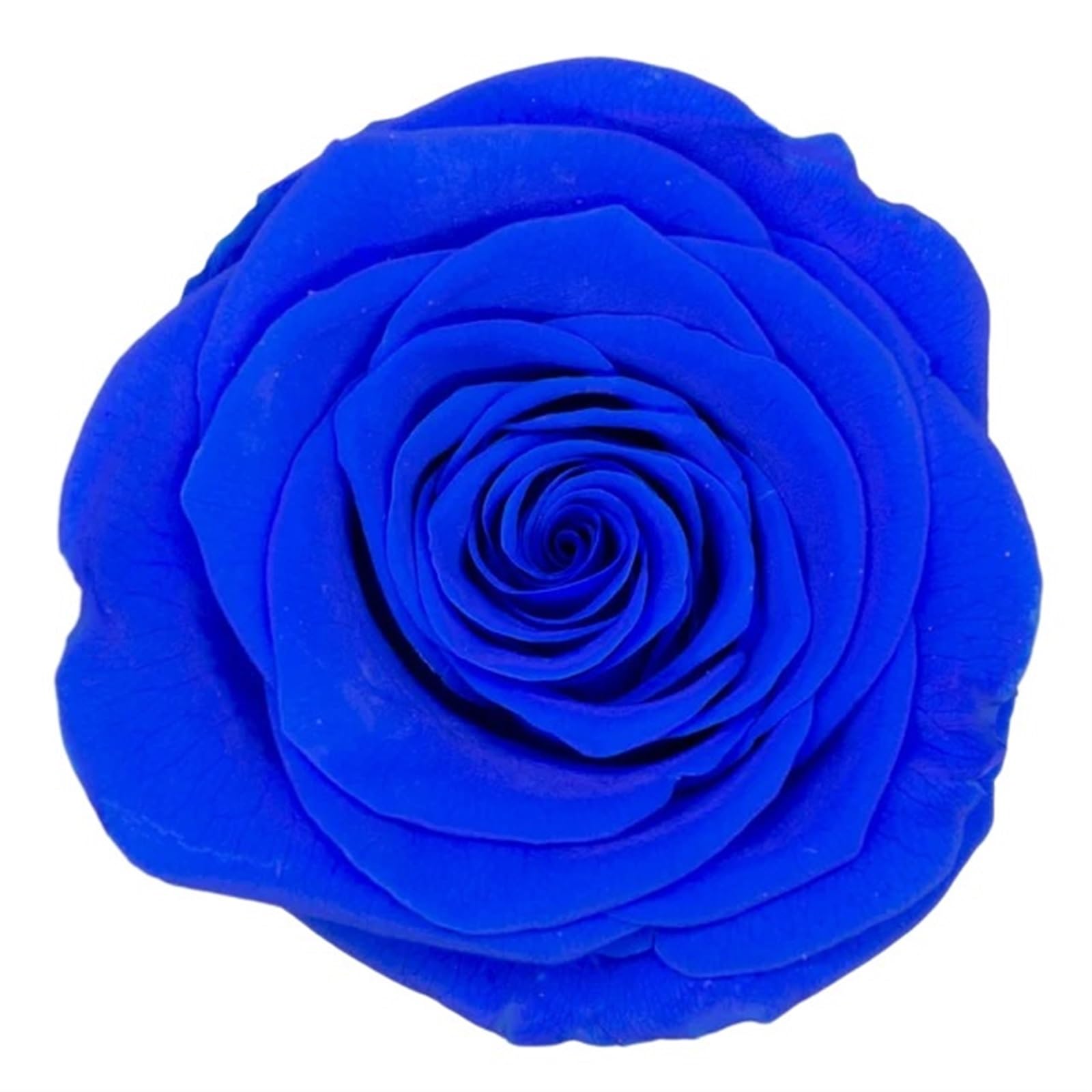 Fiori Secchi Pressati Rose conservate da 4-5 cm, Fiori conservati, Rose eterne, Naturali fresche, Fiori di Rosa immortali, fiorista, Materiale Floreale Fai da Te(Blue)