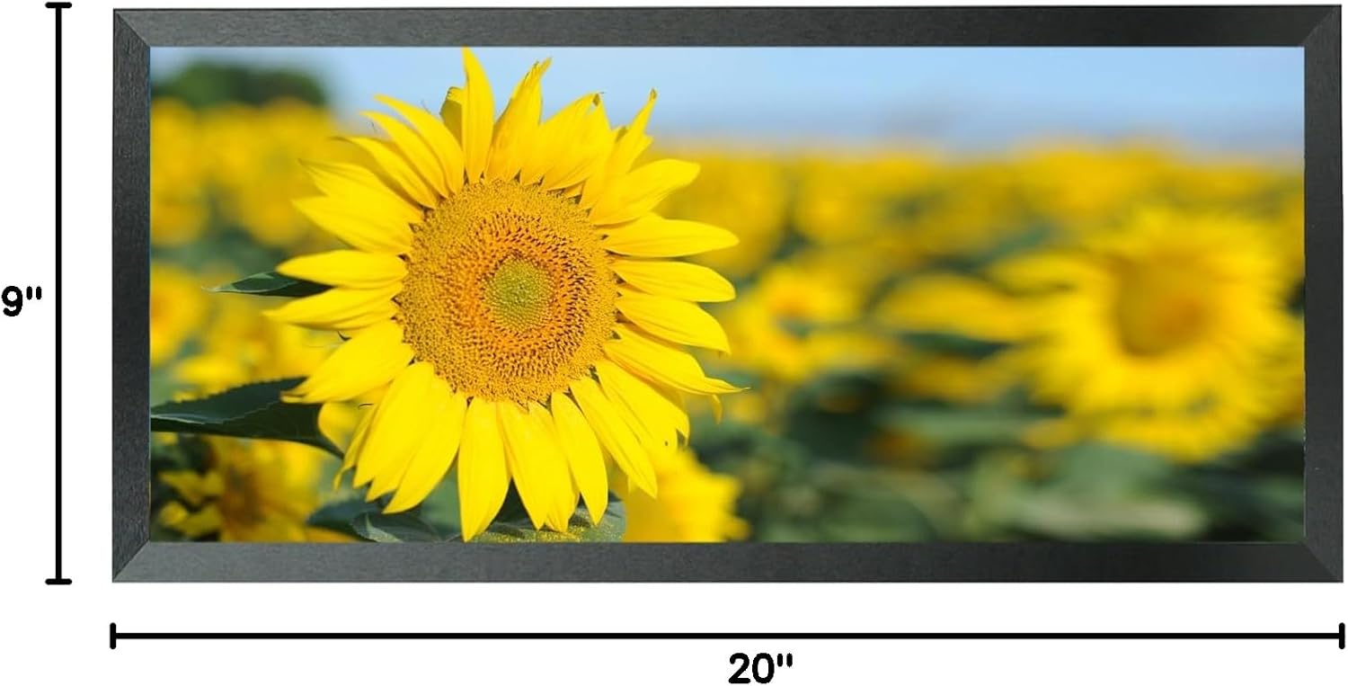 Mxtallup 9x20 Picture Frame Solid Wood 9x20 Poster Frame for Wall9x20 Photo Frames Family Black (T22B920)