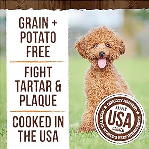 Merrick Fresh Kisses Natural Dental Chews Treats Infused with Pumpkin and Cinnamon for Tiny Dogs 515 Lbs  53 Oz Pouch  Cucciolini Doodles Merrick fresh kisses natural dental chews treats infused with pumpkin and cinnamon for tiny dogs 5 15 lbs  5 3 oz Pouch   cucciolini doodles