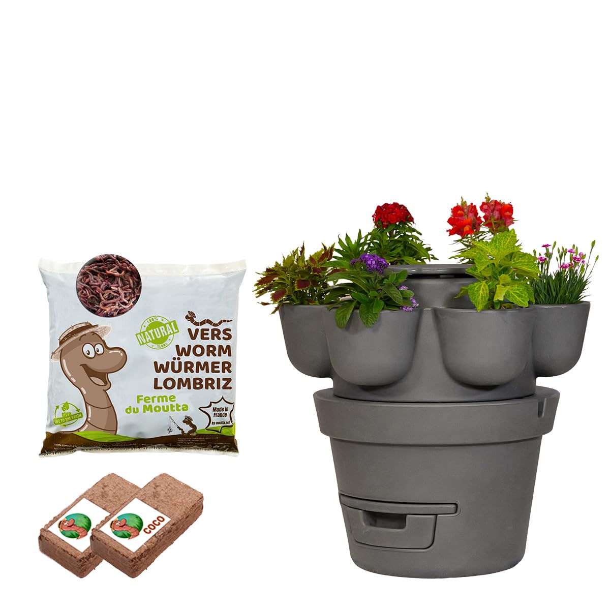 WORMgarden Gris 1 jardinières + 250gr de vers de Compost | Jardin Potager Vertical avec lombricomposteur | Cultivez Vos Fruits et légumes | Créez Votre Potager et recyclez Vos déchets