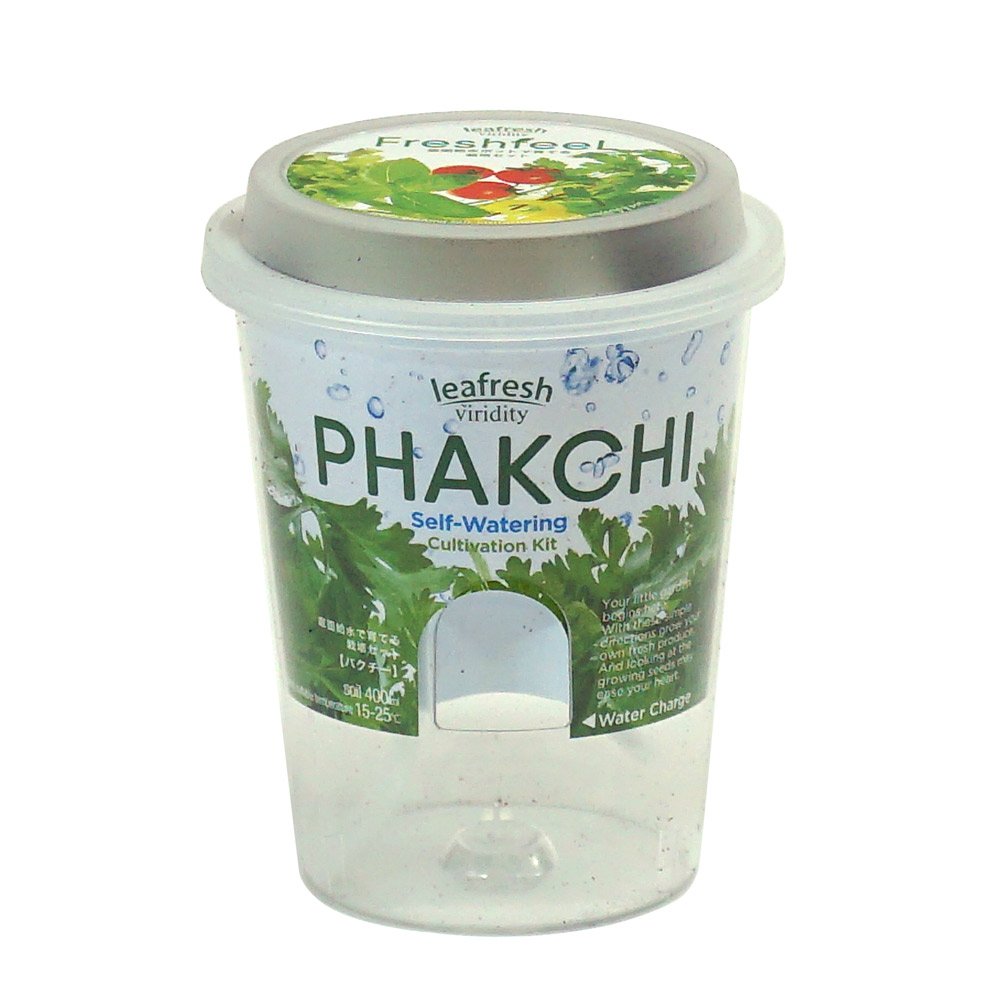 パクチーページ パクチーペースト Cheeseless | PAKUCI SISTERS online shop