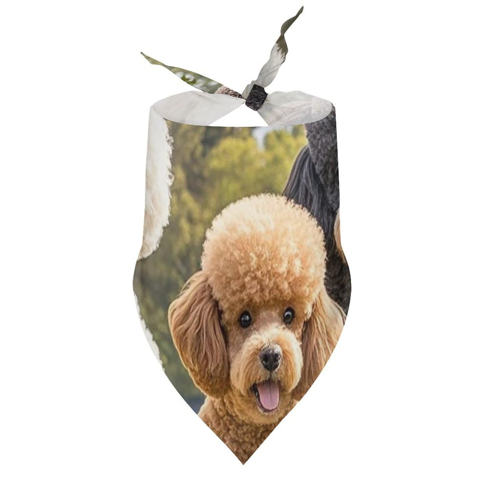 Barboncini DogsPet Sciarpa Bandana per cani taglia piccola media grande triangolo tessuto alta qualità