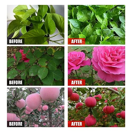 Aminoácidos, Imagen adicional